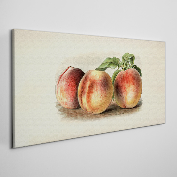 Three peaches on a white background Canvas Wall art