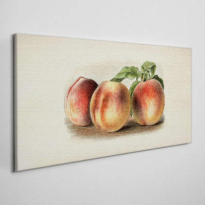 Three peaches on a white background Canvas Wall art