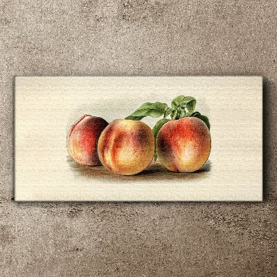 Three peaches on a white background Canvas Wall art