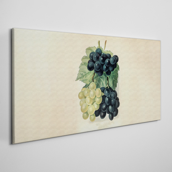 Fruity duo of grapes Canvas Wall art