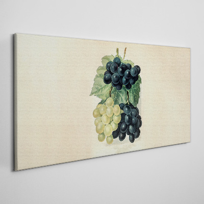 Fruity duo of grapes Canvas Wall art