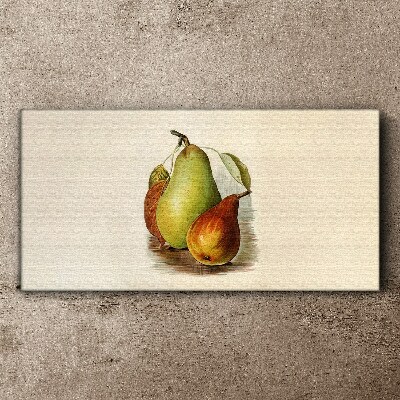 Pear fruits leaves Canvas Wall art