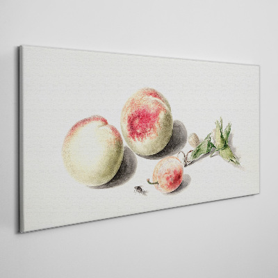 Juicy peaches on a light background Canvas Wall art