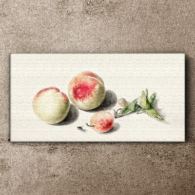 Juicy peaches on a light background Canvas Wall art