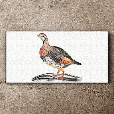 Bird elegance in pastel colors Canvas Wall art