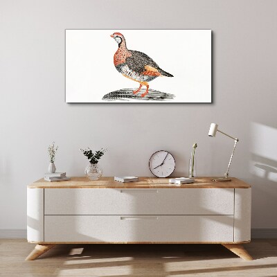 Drawing animal bird Canvas Wall art