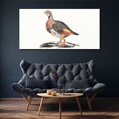 Drawing animal bird Canvas Wall art