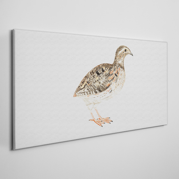 Bird on a white background Canvas Wall art