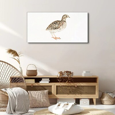 Bird on a white background Canvas Wall art
