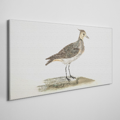 Modern animal bird Canvas Wall art