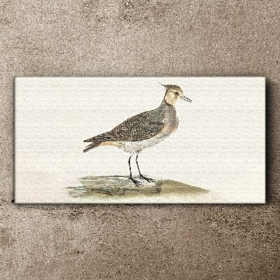 Modern animal bird Canvas Wall art