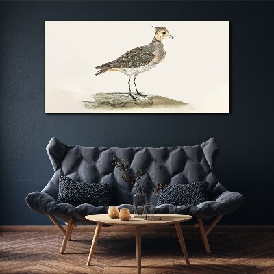 Modern animal bird Canvas Wall art