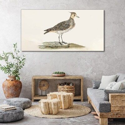 Modern animal bird Canvas Wall art