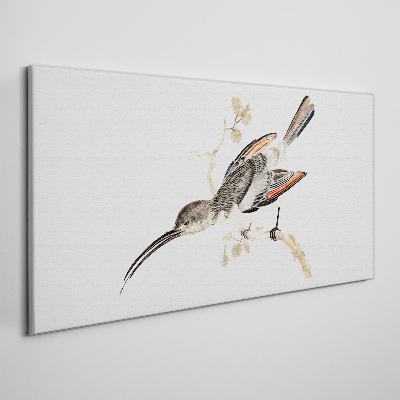 Drawing animal bird branch Canvas Wall art