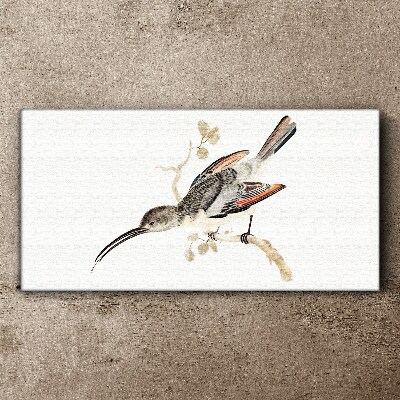 Drawing animal bird branch Canvas Wall art