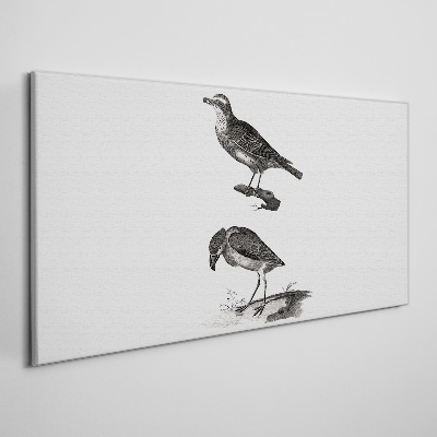 Drawing animals birds Canvas Wall art