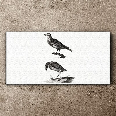 Birds on a branch Canvas Wall art