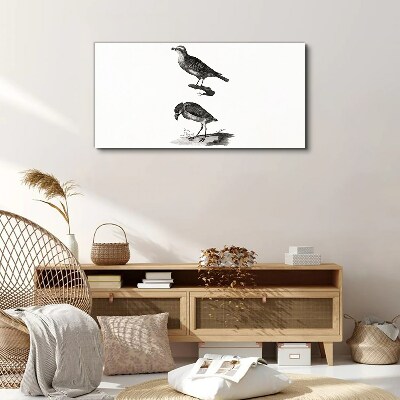 Drawing animals birds Canvas Wall art