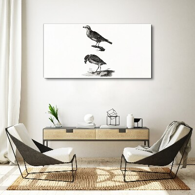 Drawing animals birds Canvas Wall art