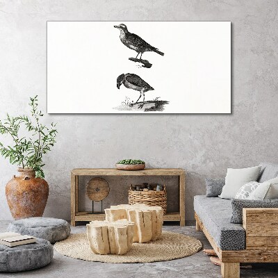 Drawing animals birds Canvas Wall art