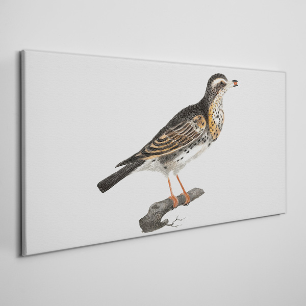 Bird on a branch Canvas Wall art