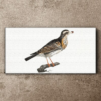 Bird on a branch Canvas Wall art