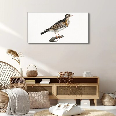 Bird on a branch Canvas Wall art