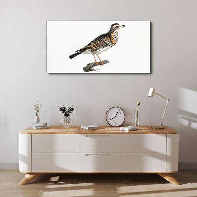 Bird on a branch Canvas Wall art