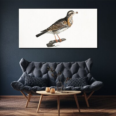Bird on a branch Canvas Wall art