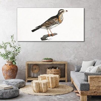 Bird on a branch Canvas Wall art