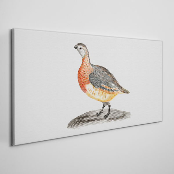 Happy bird on a white background Canvas Wall art