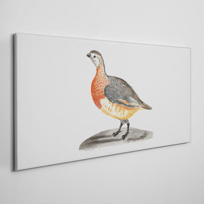 Happy bird on a white background Canvas Wall art