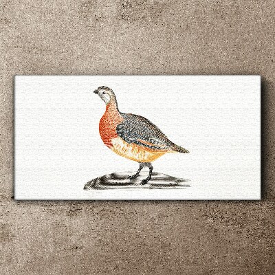 Happy bird on a white background Canvas Wall art