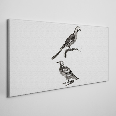Birds on a branch Canvas Wall art