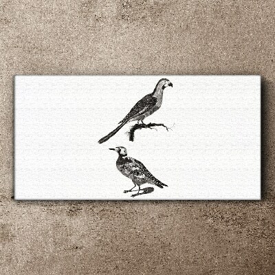 Birds on a branch Canvas Wall art