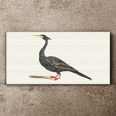 Black bird on white background Canvas Wall art