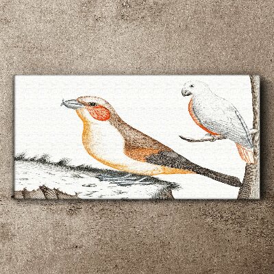 Bird duet on a branch Canvas Wall art