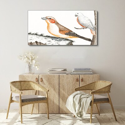 Bird duet on a branch Canvas Wall art