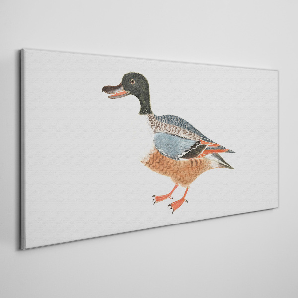A duck in a colorful coat Canvas Wall art