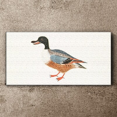 A duck in a colorful coat Canvas Wall art