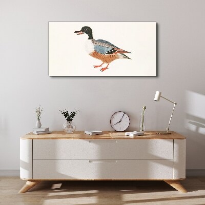 A duck in a colorful coat Canvas Wall art