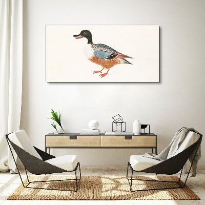 A duck in a colorful coat Canvas Wall art