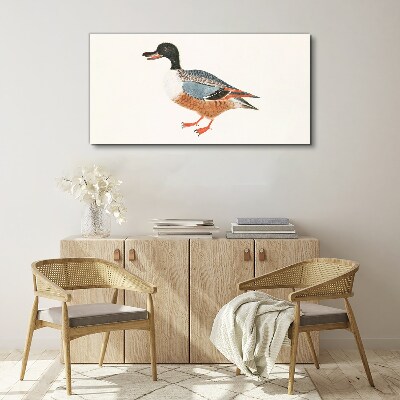 A duck in a colorful coat Canvas Wall art