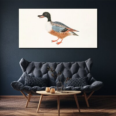 A duck in a colorful coat Canvas Wall art