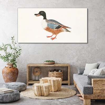 A duck in a colorful coat Canvas Wall art