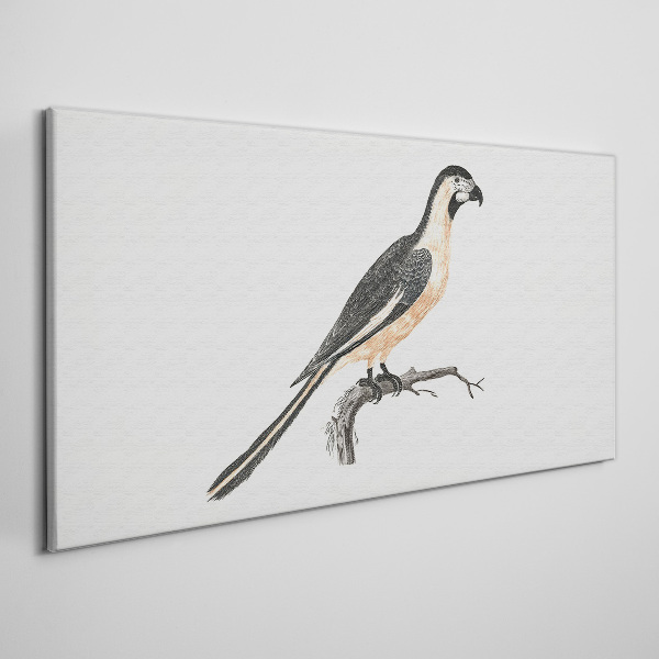 Bird on a branch Canvas Wall art