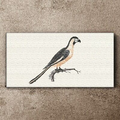 Bird on a branch Canvas Wall art