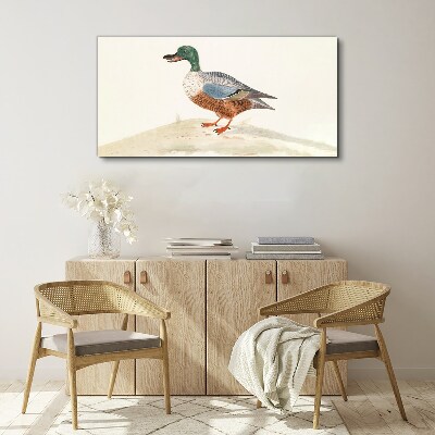 Drawing animal bird duck Canvas Wall art