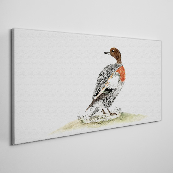 Duck on a natural background Canvas Wall art