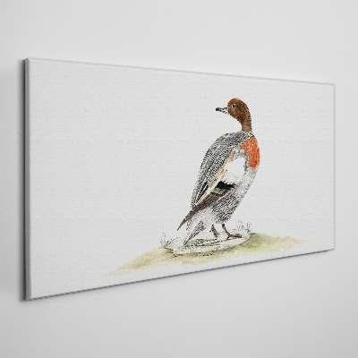 Duck on a natural background Canvas Wall art
